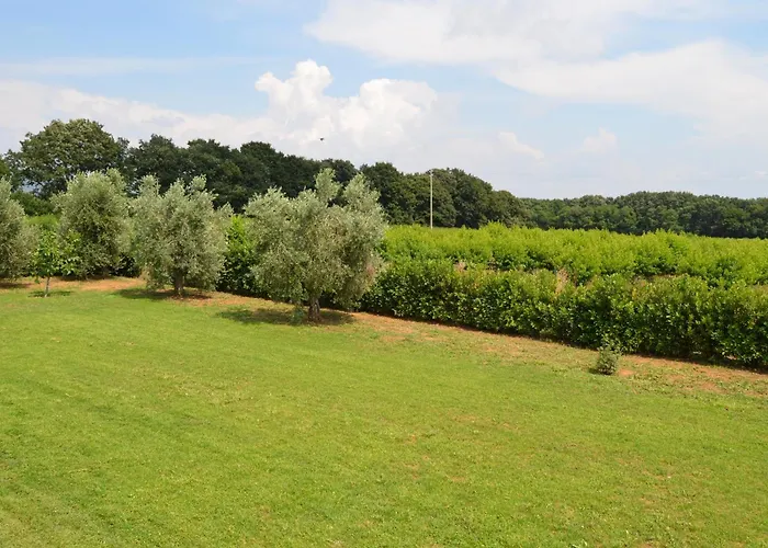 La Valle Dei Peschi Vada