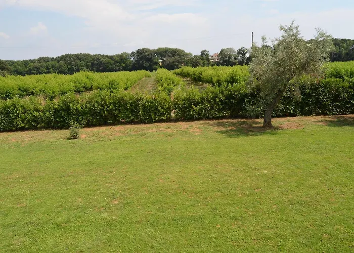 Hétvégi ház La Valle Dei Peschi *