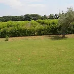 乡村民宿 La Valle Dei Peschi *