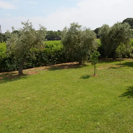 La Valle Dei Peschi